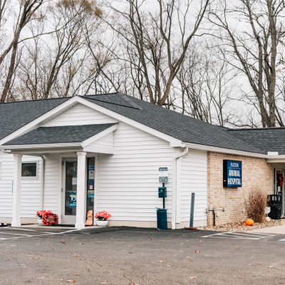 Fulton Animal Clinic Building